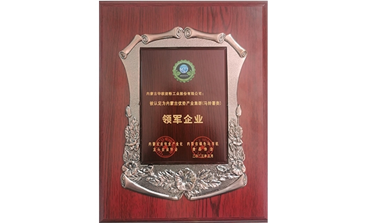 內(nèi)蒙古優(yōu)勢(shì)產(chǎn)業(yè)集群（馬鈴薯類(lèi)）領(lǐng)軍企業(yè)